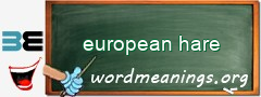 WordMeaning blackboard for european hare